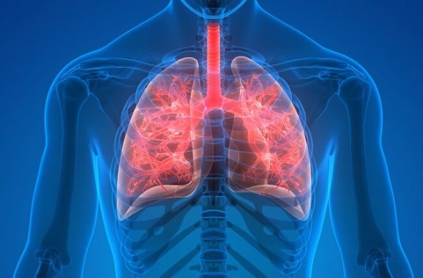 Clinical Diagnostic Assays - Applied BioCode